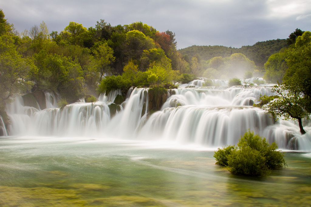 Dzieciaki przejmują dowodzenie