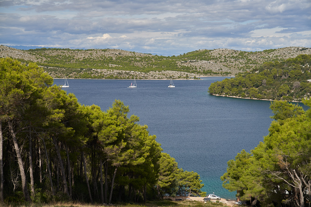 Dzieciaki przejmują dowodzenie